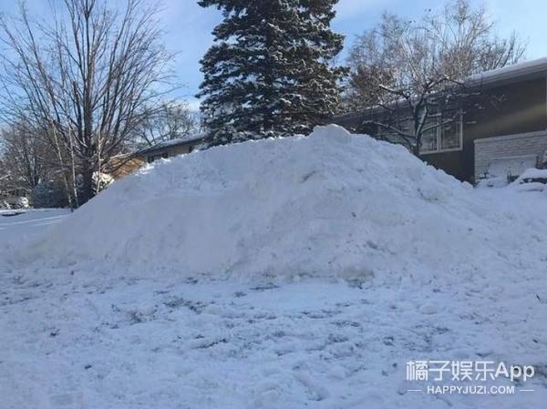 用雪堆出海象、章鱼、海龟，这三兄弟厉害了