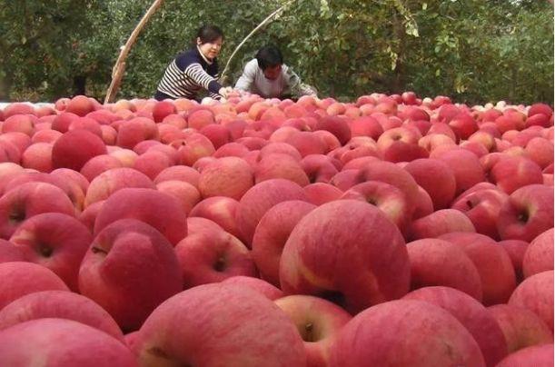 【河北县情概览】秦皇岛市青龙满族自治县