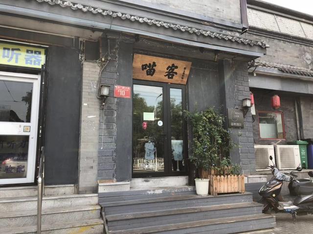 北京地安门大街这家小店，满足人生三大愿望，美食，撸猫，喝小酒