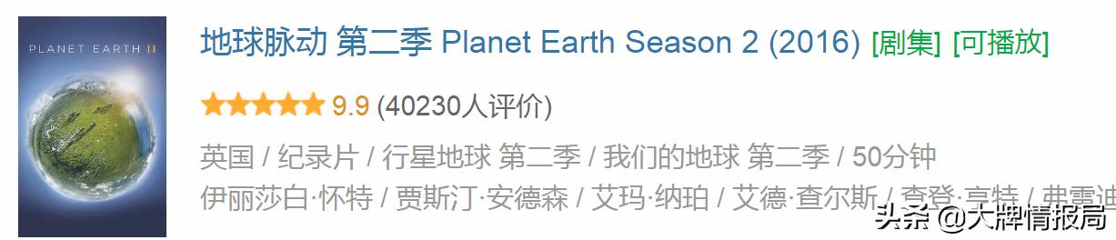 金领娇鹟怎么读？海象为何会摔死？不知道就该看看这部神级纪录片