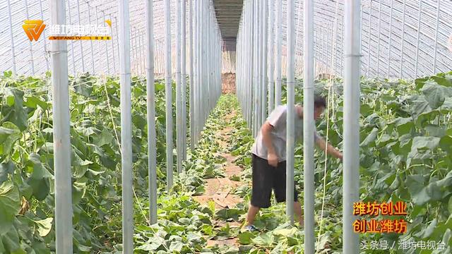 昌乐多举措扶贫312个家庭 3处基地确定为国家级就业创业扶贫基地