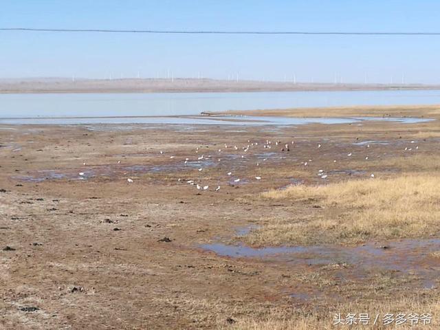 德令哈市，十月滴水成冰，尕海湿地，乌兰县，157天骑游路D150
