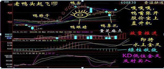 国内最“牛”的一种人：炒股10年未曾割肉，只因吃透“老鸭头”，一旦鸭嘴张开，股价直接起飞，附选股公式