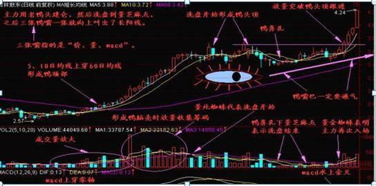 国内最“牛”的一种人：炒股10年未曾割肉，只因吃透“老鸭头”，一旦鸭嘴张开，股价直接起飞，附选股公式