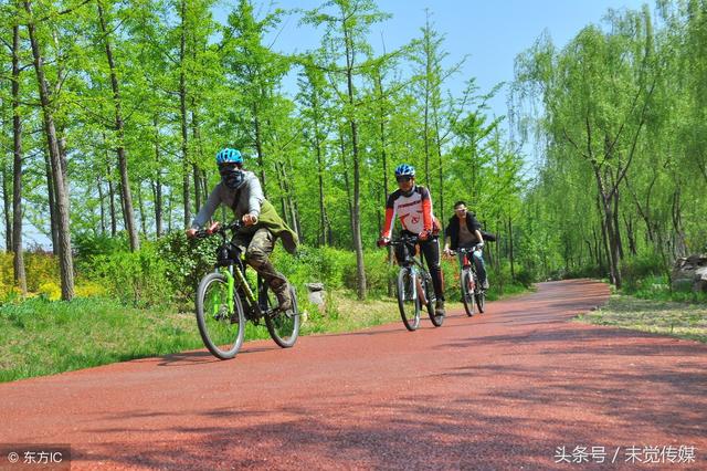 单身狗黄金周首日，骑行安江村：原国立艺专旧址，现国美前身