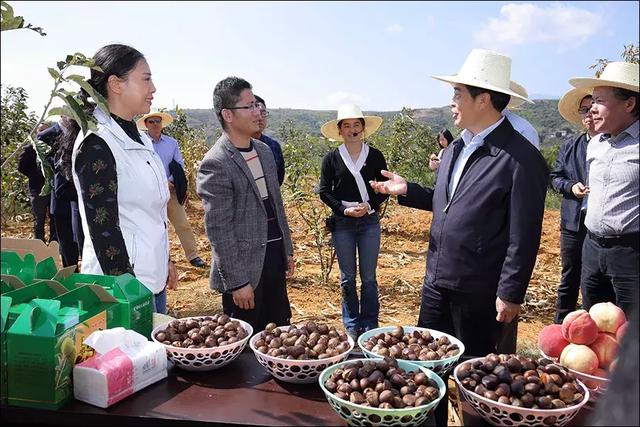 推进脱贫攻坚｜李建红调研招商银行定点扶贫的云南武定县和永仁县