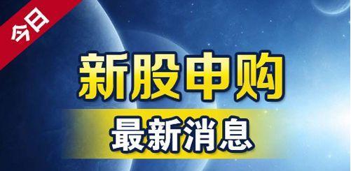 新股申购连这些都不知道，你凭什么能中签？