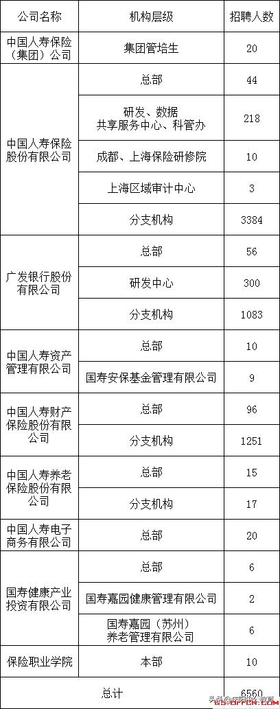 2020中国人寿集团校园招聘6560人公告