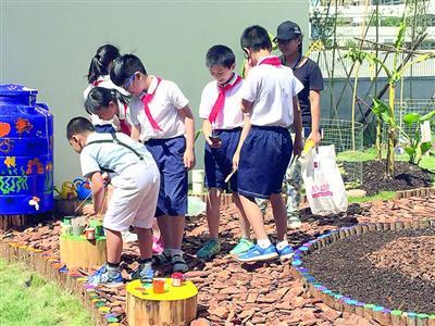 学区化集团化均衡教育地图的秘密