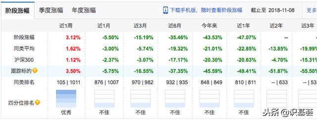 年内环境主题类基金跌幅最大，后面是继续持有定投还是果断砍了？