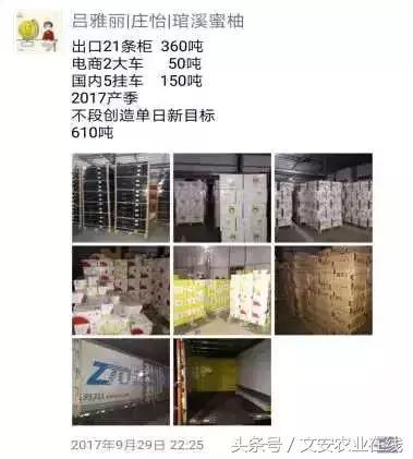 堂主A20最长农业演讲：没有十年土地死磕，不要妄谈农业高手！