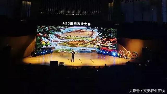 堂主A20最长农业演讲：没有十年土地死磕，不要妄谈农业高手！