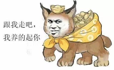 手慢无！新版大懒猫社区App上线，壕礼大放送​