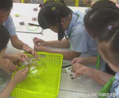 开学新举措：主题式课程缓解小学生入学焦虑