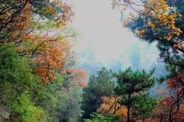 “全城热练”行走太行——石家庄市健身旅游登山节第二站在平山县天桂山风景区隆重举行！