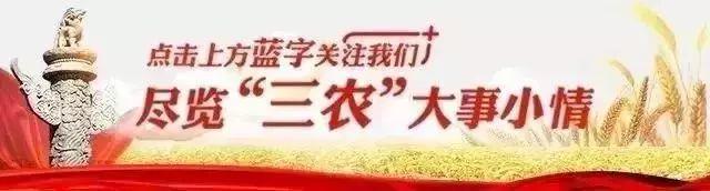 肥料袋上的HPK、TE等字母都是什么意思？看不懂容易吃大亏！