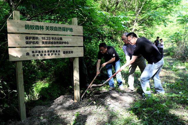 蔡崇信、张勇、彭蕾、井贤栋，过去半年是怎么扛住马云绩效考核的