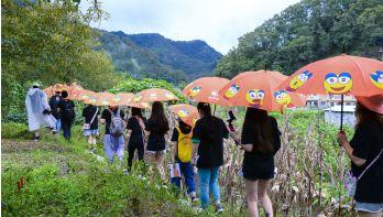 来伊份：一颗小核桃背后的“历史”与“数据”