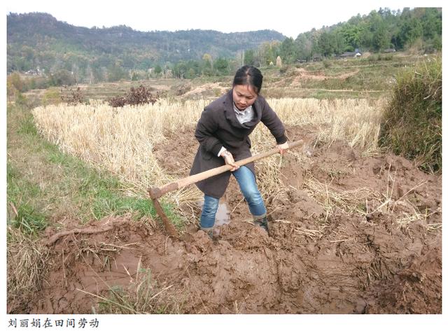 中科院女硕士回通江种地   计划投资百万建设生态农庄