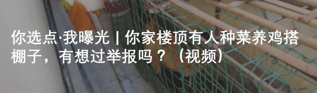 巴中这两个家庭获评2018年度四川省“最美家庭”！你认识吗？