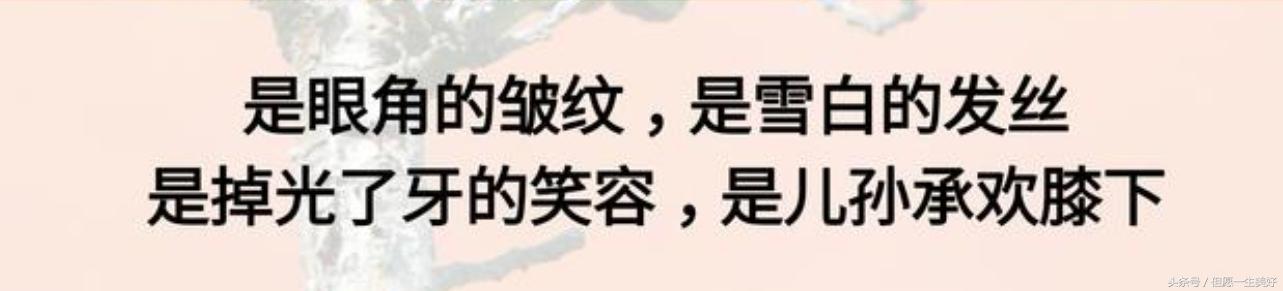 夫妻吵架是坏账准备，打架是营业损失！什么人想出来的，太绝了