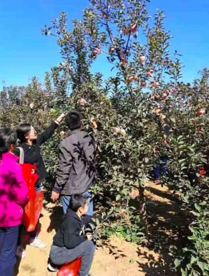 秋风起 苹果红 捷途X70趣味采摘活动圆满收官