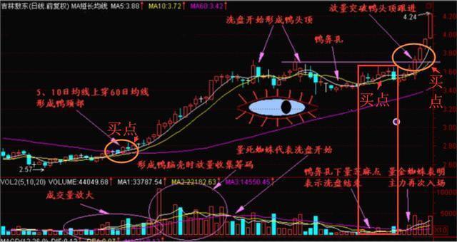 真正炒股厉害的人，反复牢记35个炒股口诀，傻瓜式操作，小资金也能迅速翻10倍