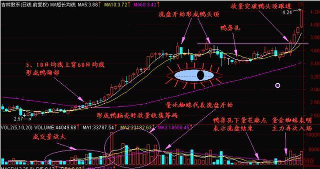 真正炒股厉害的人，反复牢记35个炒股口诀，傻瓜式操作，小资金也能迅速翻10倍