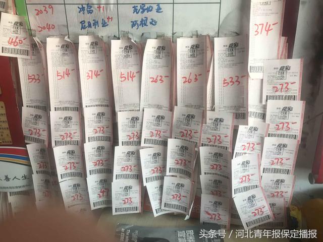 世界杯带火保定彩票销售：投注站营业到凌晨 女球迷“一掷千金”