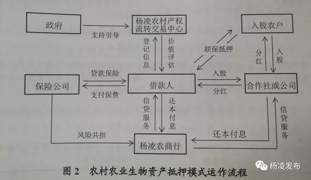 创新金融支农服务，助力乡村振兴战略……杨凌着力打造全国农村金融中心