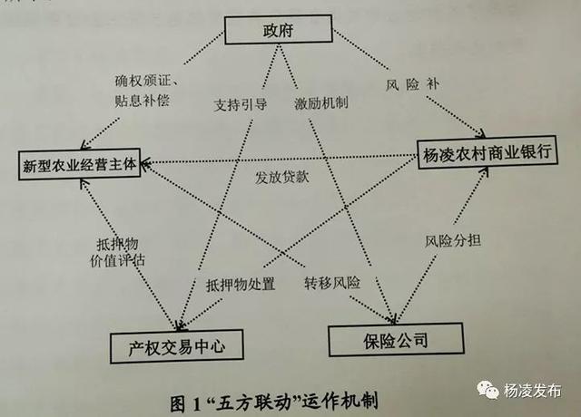 创新金融支农服务，助力乡村振兴战略……杨凌着力打造全国农村金融中心