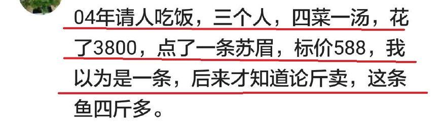 你吃过最贵的饭是什么？网友：2000比特币吃了一个披萨