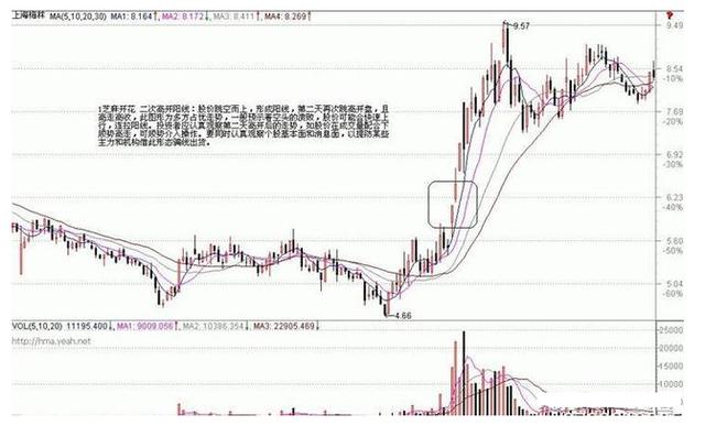 “芝麻开花”形态，介入将捕捉连续涨停板