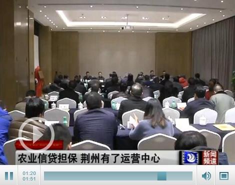 湖北省农业信贷担保有限公司荆州运营中心成立