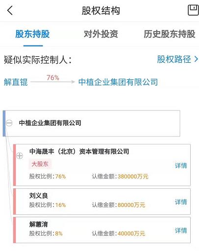 大名城：解蕙淯违约5亿元，中植系“中枪”