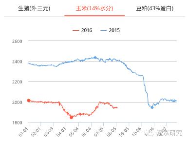 金新农：规模化养殖带动饲料销售增长