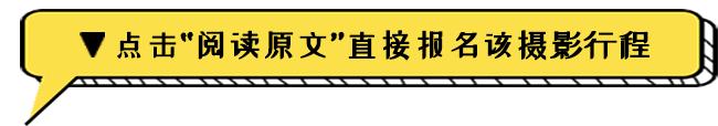 突尼斯｜½的地中海浪漫，½的撒哈拉火焰