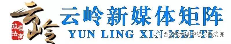 依法惩治涉“地下钱庄”犯罪 维护金融市场秩序——“两高”相关负责人就涉地下钱庄刑事案件司法解释答记者问