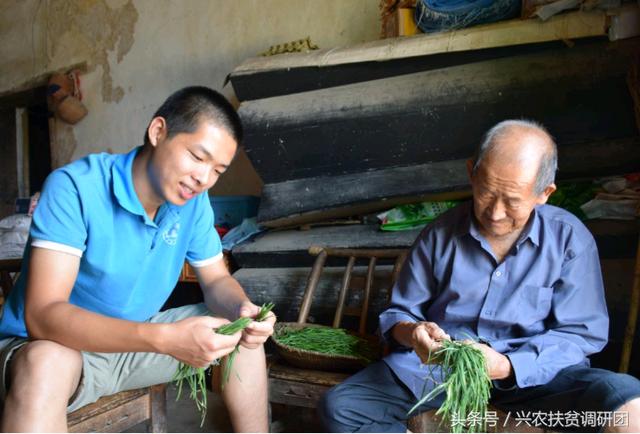 大学生三下乡：在实践中锻炼自己，行力所能及之事