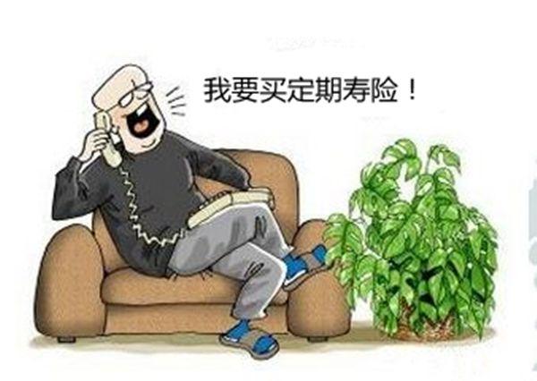 2019就要来了，2018定期寿险那个好？最全排行榜出炉！