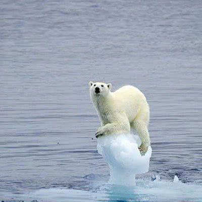 全球变暖已成现实，如果南北极冰川全部消融，又会有什么样的后果