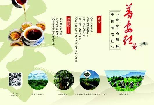 广播剧《古茶飘香幸福来》联播：第二集