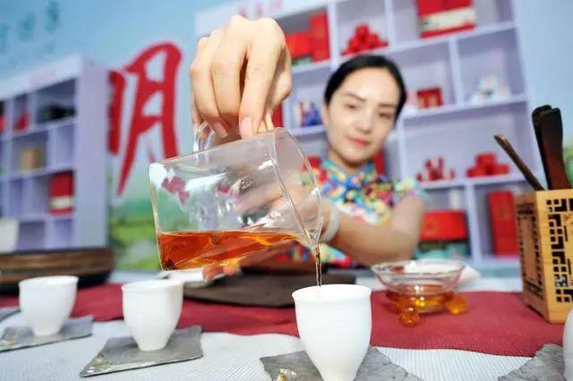 广播剧《古茶飘香幸福来》联播：第二集