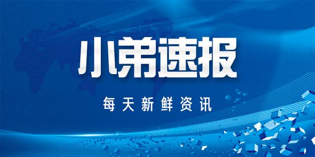 今日头条生机大会，反低俗小程序“灵犬”来了｜小弟速报