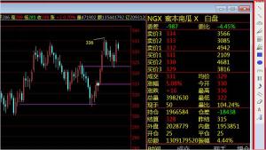 现货思维[入门基础] 38、行情分析软件使用-如何标注点位