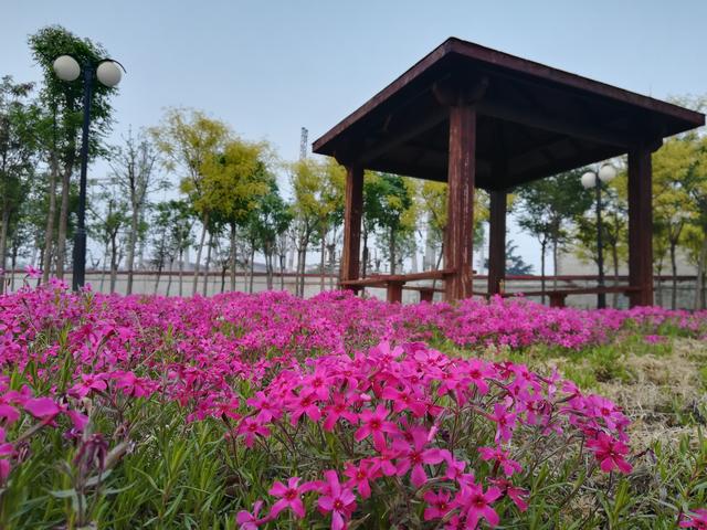 河北省退役军人在本地旅游“宝典”