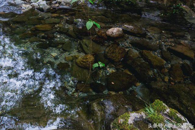 神秘后河，天然氧吧：探秘后河天门峡