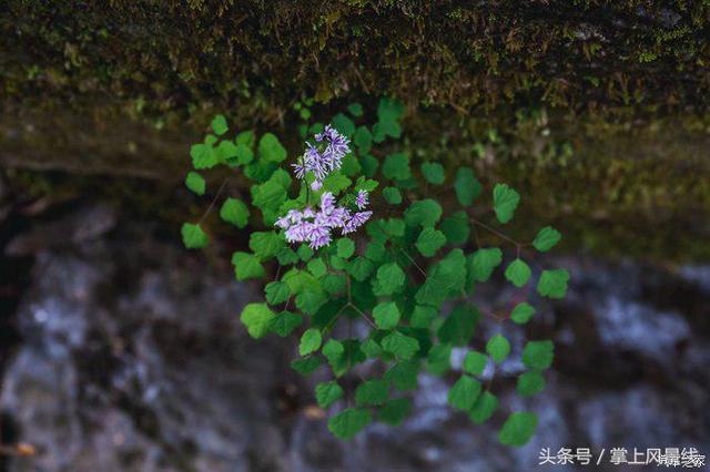 神秘后河，天然氧吧：探秘后河天门峡