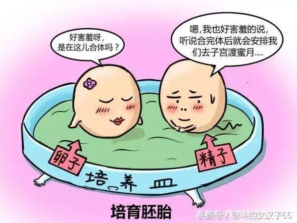 羡慕别人生龙凤胎？孕妈不妨试试这5个方法，很可能你也会生一对