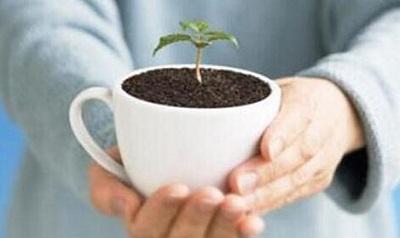 95后在校大学生咖啡渣上玩花样，卖盆栽一年销售100万